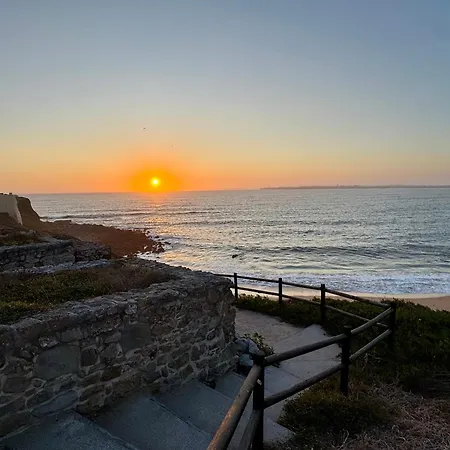 Pensjonat Silver Seahorse Garden Retreat