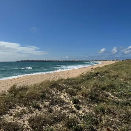 Silver Seahorse Garden Retreat