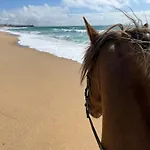 Silver Seahorse Garden Retreat ゲストハウス