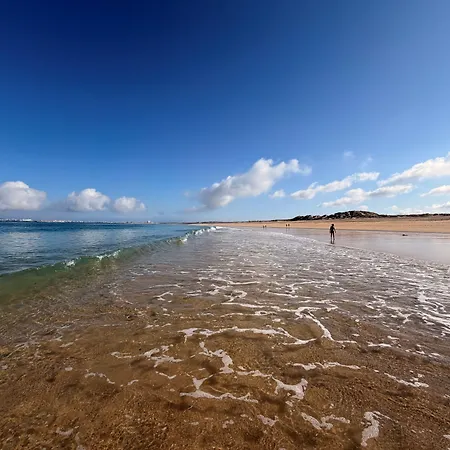Silver Seahorse Garden Retreat 4*
