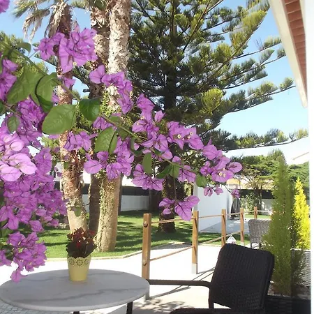 Silver Seahorse Garden Retreat Atouguia Da Baleia