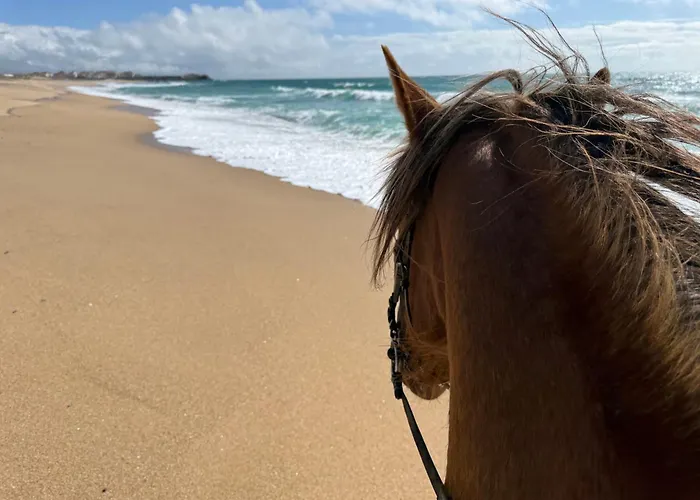Silver Seahorse Garden Retreat Pensión