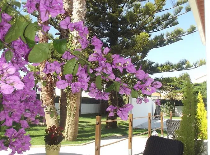 Silver Seahorse Garden Retreat Atouguia Da Baleia